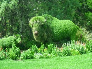 "We All Need Somebody to Lean On" (Photography by Joanne Edith)