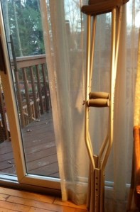 Old Dog, New Tricks. (Photography by Joanne Edith)