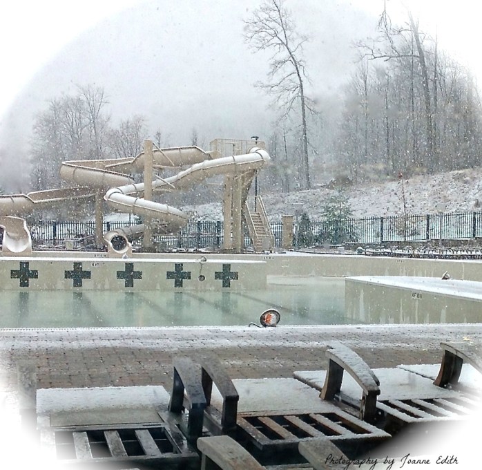 Snowy Poolscape