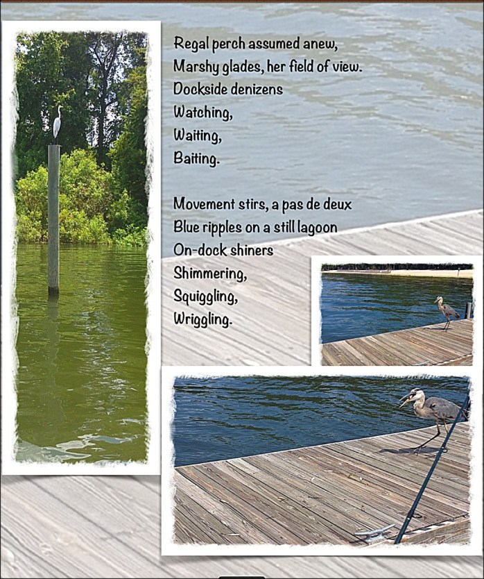 Photography by Joanne Edith