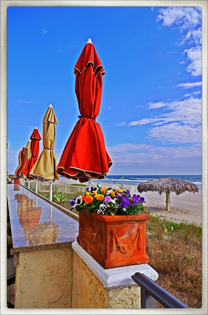 Photography by Joanne Edith