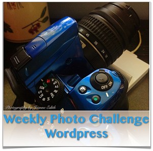 Weekly Photo Challenge