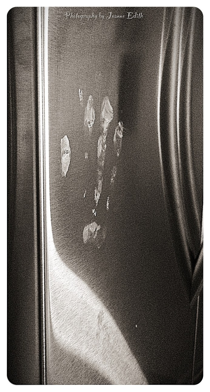 Exhibit 1:  Munchkin Palm Print