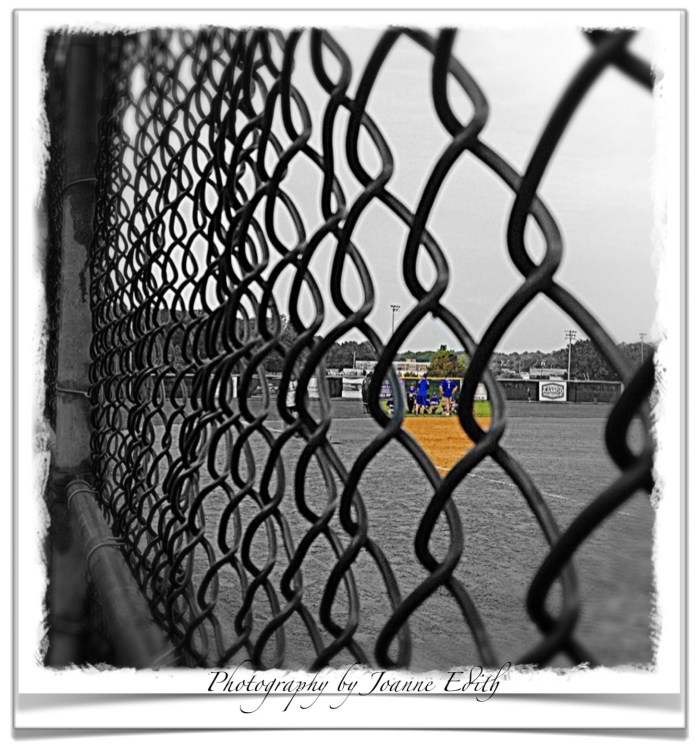 Through The Sandlot Fence