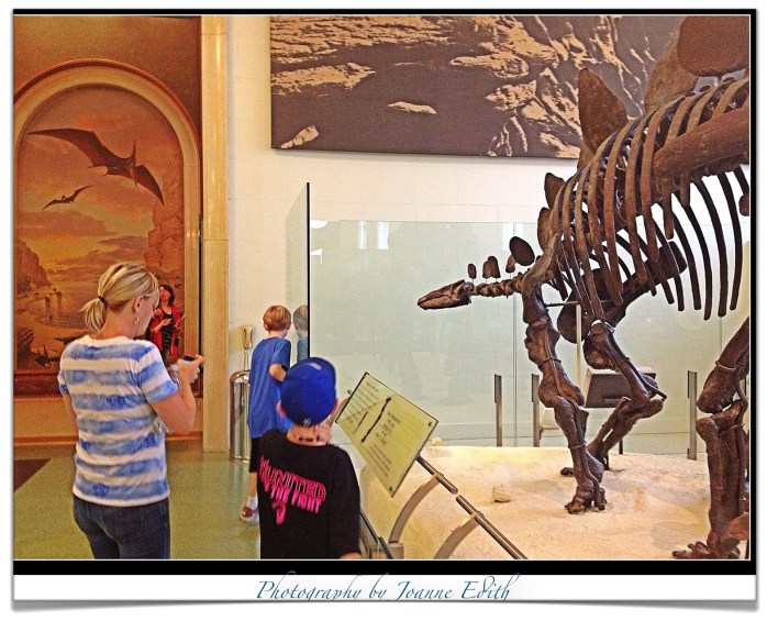 Structures and Boundaries