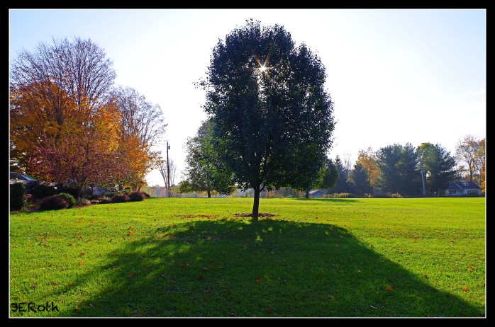 (Pentax K30: ISO 100, 18mm, f/11, 1/100 s.)