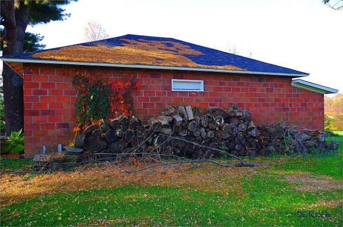 Pentax K30, ISO 100, 18 mm, f/5.6, 1/40 sec. "Dwindling Woodpile"