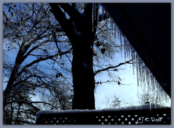Icicles at Twilight