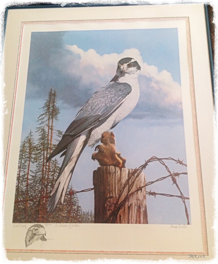 "Balance of Nature", Thomas Hirata