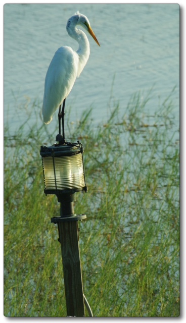 Golden Moment, Sunrise Point